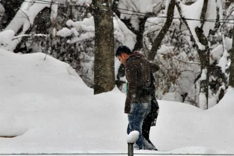 Snow  Stock Photos