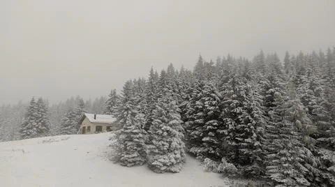 Snow Stock Photos