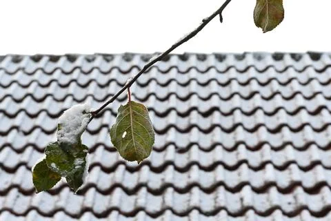 Snow Foto stock