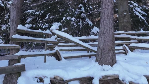 Snow piled up on a ranch in the forest Stock Footage 234870765