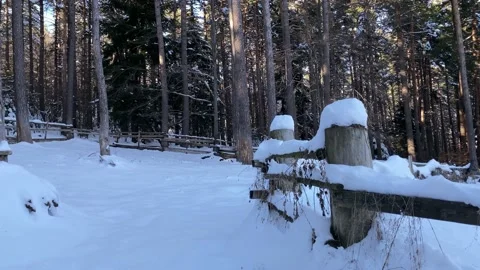 Snow piled up on a ranch in the forest Stock-Footage 234870874