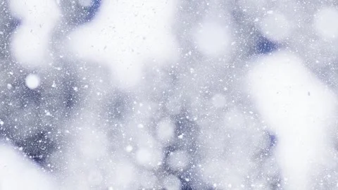 Snow in pine forest in winter Stock Footage 288291411