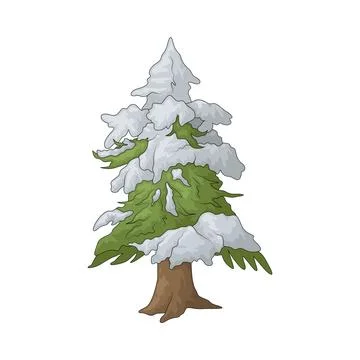 Snow pine tree illustration Stock Illustration