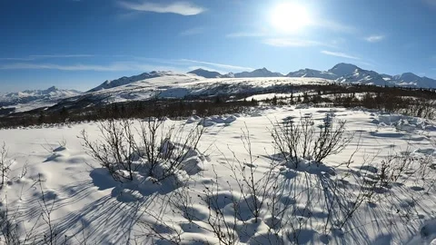 Snow, pines and sky making a beautiful, peaceful winter scene in central Alaska Stock-Footage 342085328