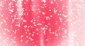 Snow Pink 04 keep falling Loop HD Footage