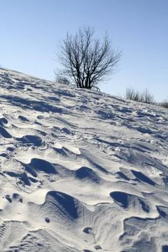 Snow Plain Blown by a Wind 库存照片