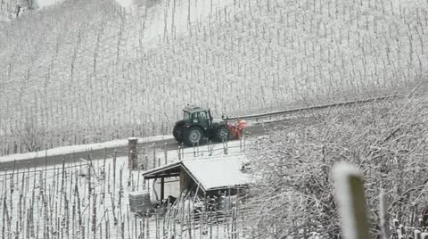 A snow plow  between the vineyards. Stock Footage 11827724