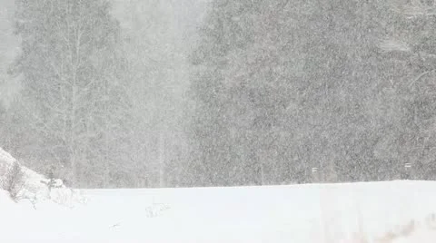 Snow Plow Video stock 20500204