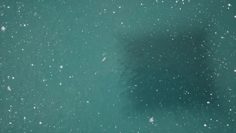 Snow at pond water Stock Footage 249492897