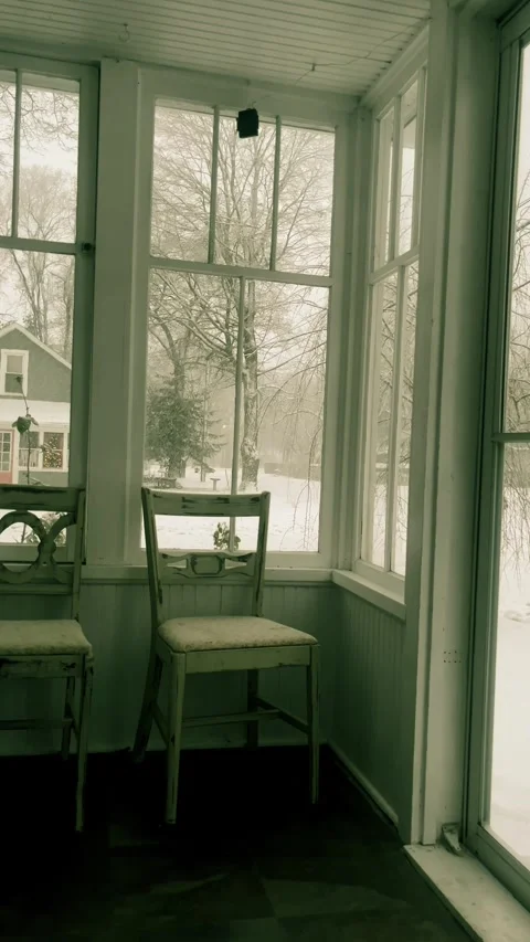 Snow from the porch Stock Footage 279522693