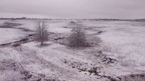 Snow On Prairie Fly Orbit Around Tree Stock Footage 156475312