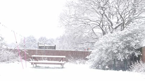 Snow in private gardne Stock Footage 147447154