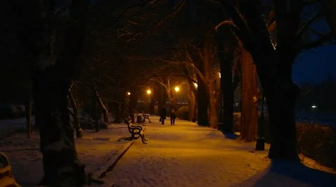 Snow promenade at night slow motion Stock Footage 59704176
