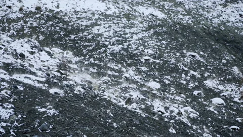 Snow puddle on dry soil Vídeos de archivo 166697974