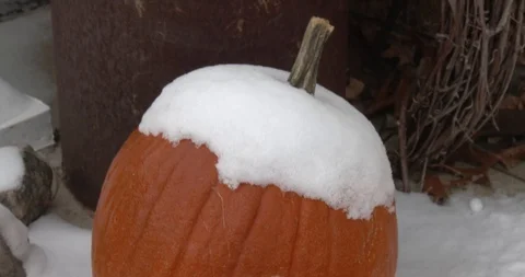 Snow on a Pumpkin - Close Up - Static Stock Footage 98666773