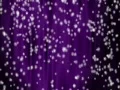 Snow Purple 04 keep falling Loop Web Footage