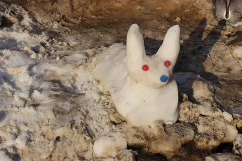 Snow Rabbit Stock-Fotos