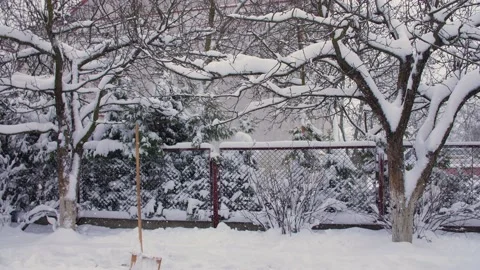 Snow removal by a shovel Video stock 101301801