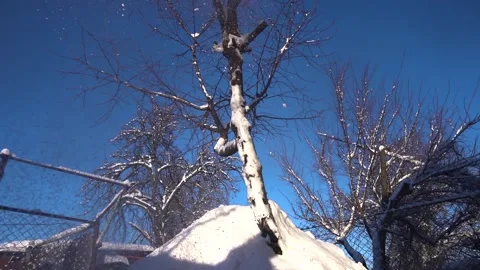 Snow removal in a snowy Stock Footage 327388384