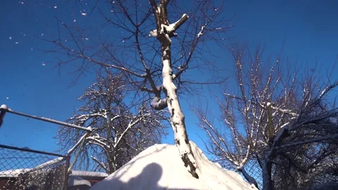 Snow removal in a snowy Stock Footage 327388386