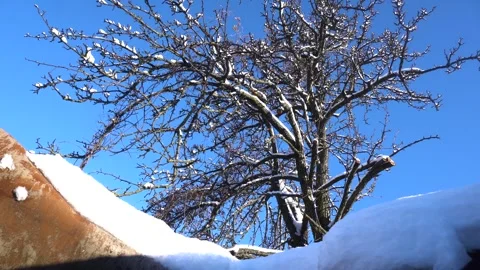 Snow removal in a snowy 스톡 동영상 327388730