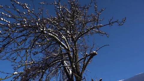 Snow removal in a snowy Video stock 327388875