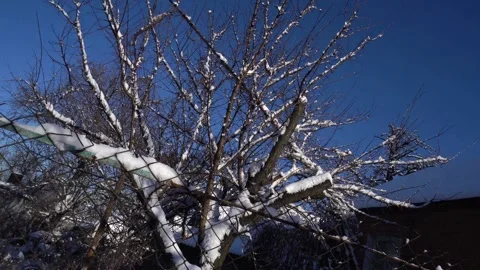Snow removal in a snowy Stock Footage 327389239