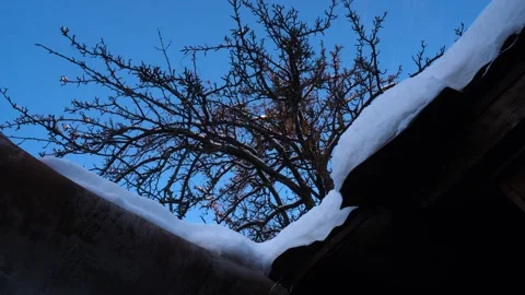 Snow removal in a snowy Stock Footage 327391874