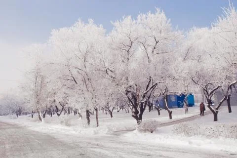 Snow rhapsody Stock Photos