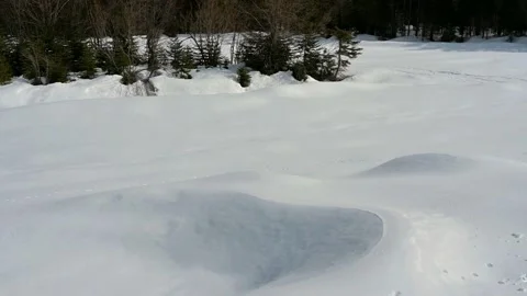 Snow in the Riofreddo valley. Tarvisio. Video stock 194670701