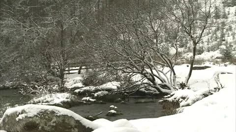 Snow river and tree semi CU Video stock 21083347
