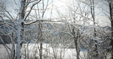 Snow on the River Tilt Down Stock Footage 123678092