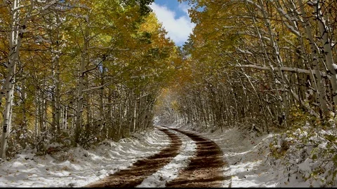 Snow Road with Fall Aspens Colors Stock Footage 105047565