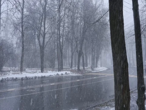 Snow Road 스톡 동영상 74056914