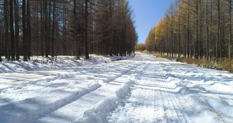 Snow Road in Forest Stock Footage 118910821