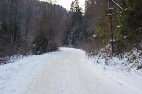 Snow road in the forest 写真素材