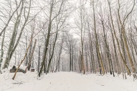 Snow on a road in the forest Stock Photos