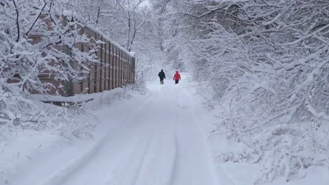 Snow road people from the back Stock Footage 196948271