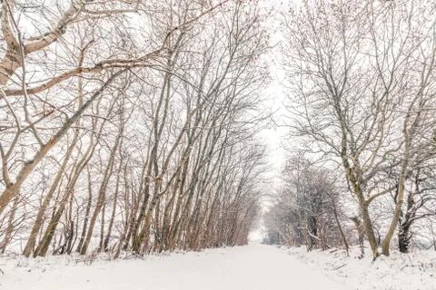Snow on the road Stock Photos