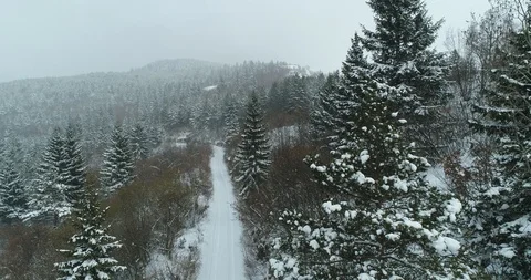 Snow road trough forest in winter on mountain Vidéo 127251841