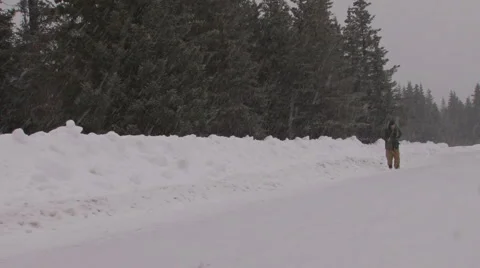 Snow Road Walker #3 of 3 Stock Footage 2273643