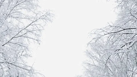 A snow road, walking, winter Stock Footage 83935864