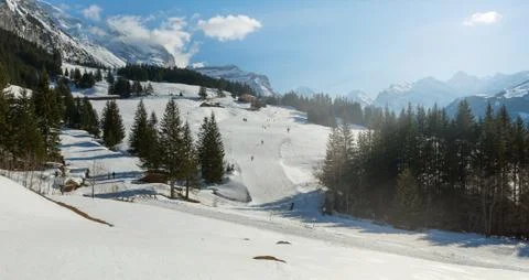 Snow on road in winter with pine tree and blue sky Stock Photos