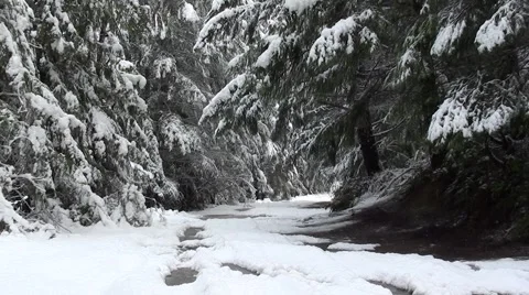 Snow Road.m2ts Stock Footage 1086498