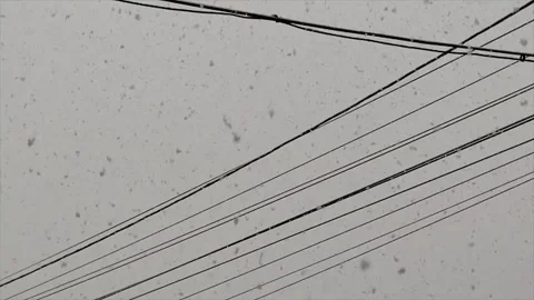 Snow in Romania - slow motion frame Stock Footage 169335913