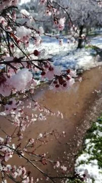 Snow in Rome Stock Photos