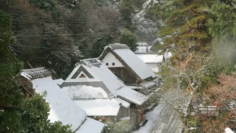 Snow at Saga Torii Gate Vídeo Stock 330603660