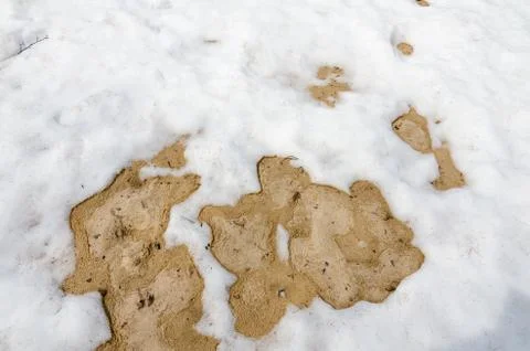 Snow on sand Stock Photos