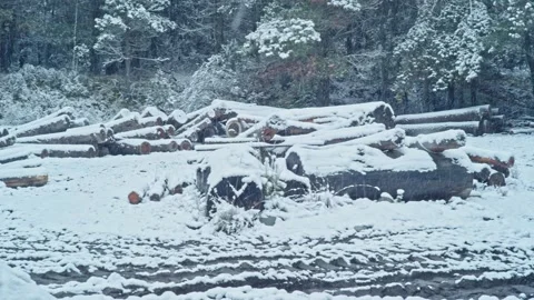 Snow in Sawmill Panoramic 1 Stock Footage