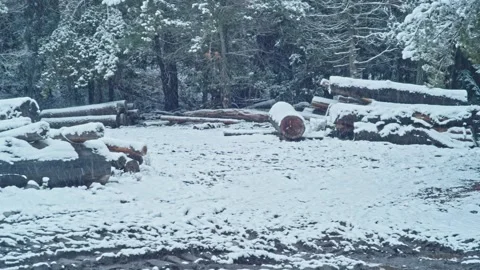 Snow in Sawmill Panoramic 2 Видео 134305190